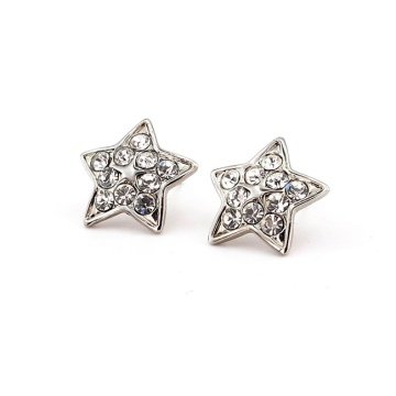 TAŞLI TASARIM YILDIZ ŞEKİLLİ KADIN KÜPE EX040